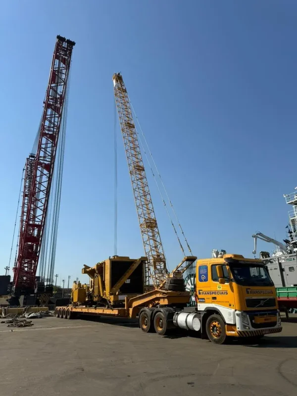 WhatsApp Image 2026-03-10 at 11.16.38 (2)