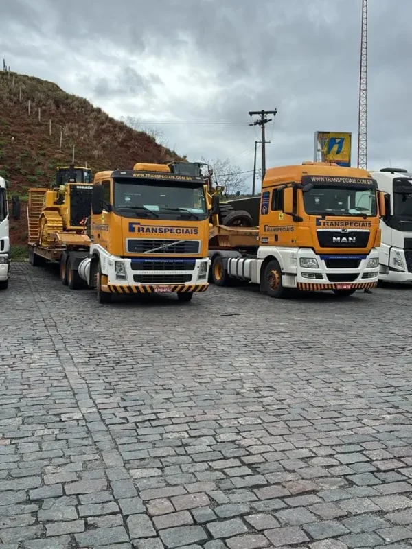 WhatsApp Image 2026-03-10 at 11.16.41 (3)